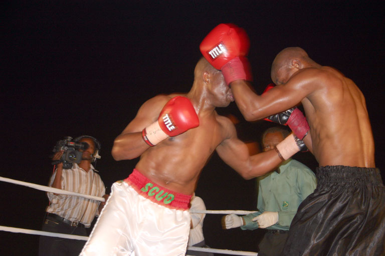 botswana boxersjpg