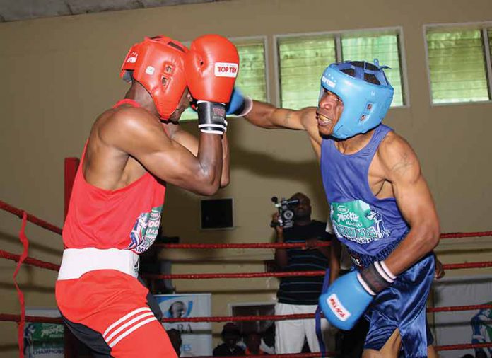 boxing-449