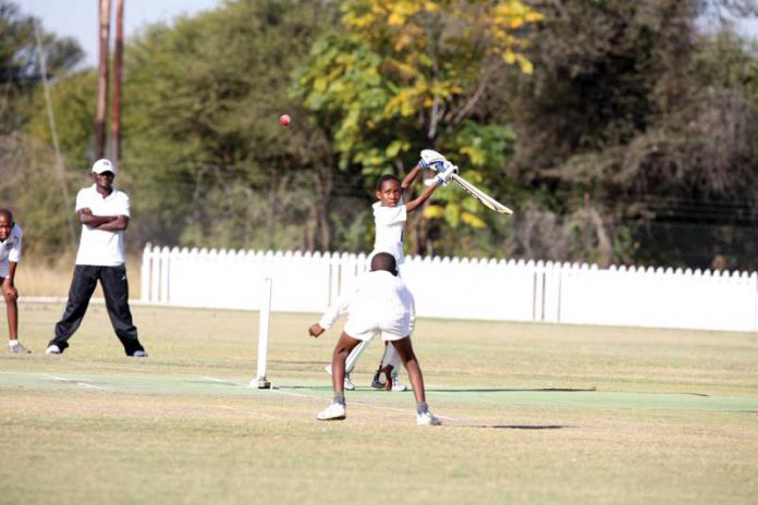 cricket_2