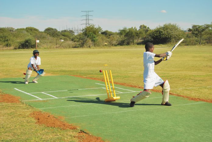 cricketpic