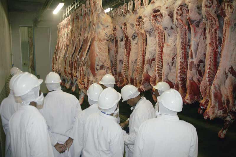 eubeefmarket