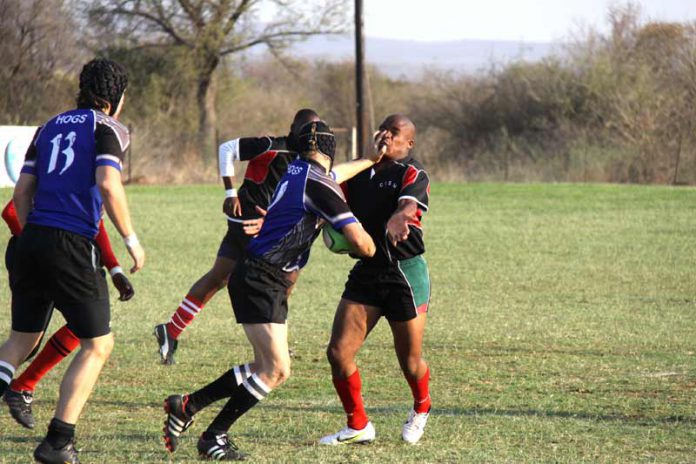 hogsdecimatecheetahs