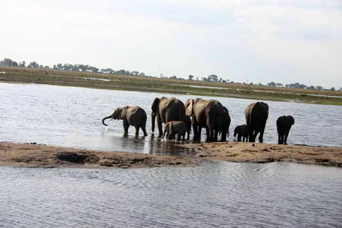 insidebotswana