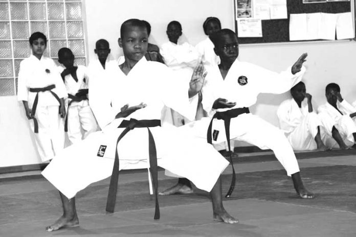 martialarts