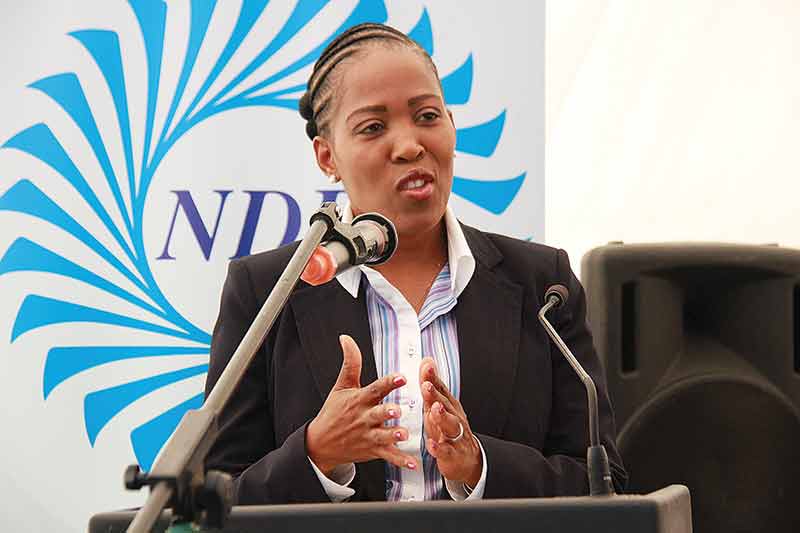 ndbinvests