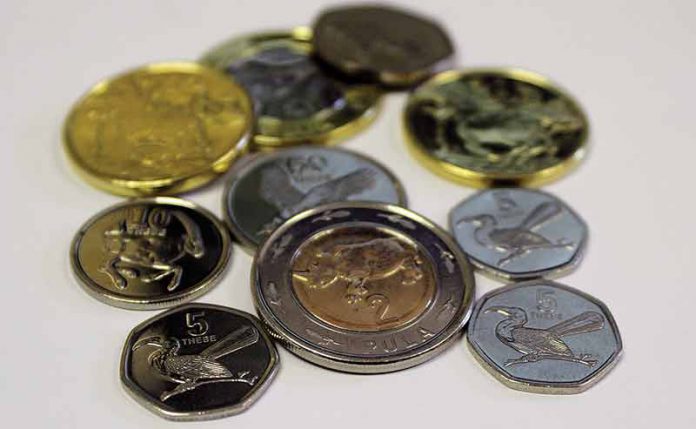 newcoins