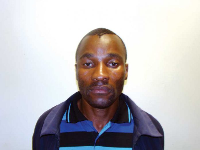 oreeditse-mokoti