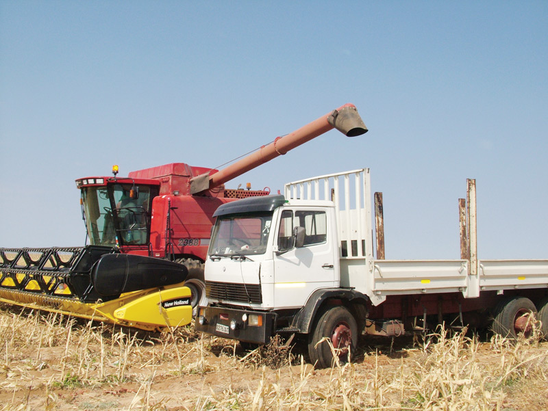 talanafarms