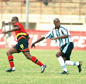zebras angola