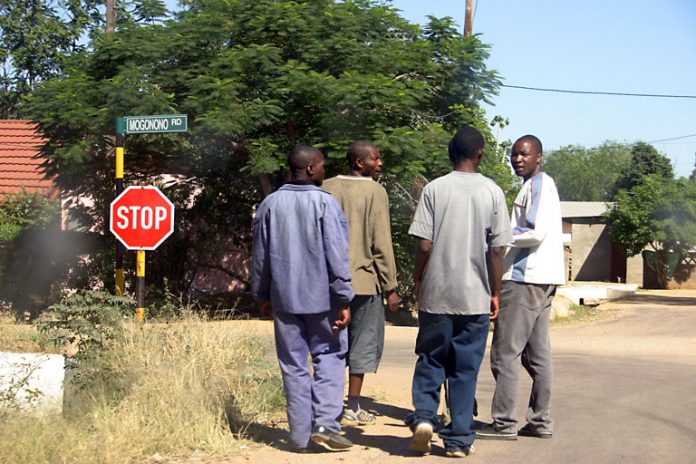 zimbabweans pic (page 4)