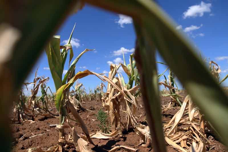 drought