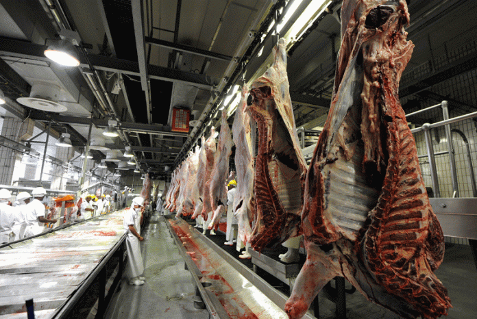 botswana beef