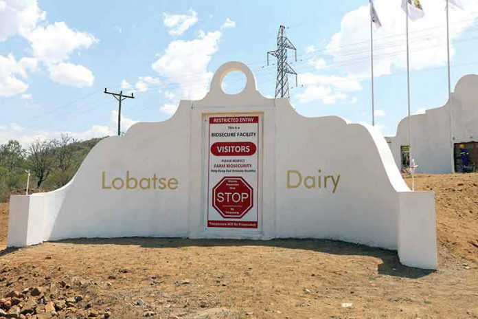 Lobatse-dairy
