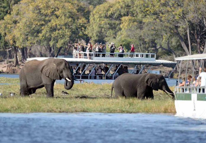 Botswana Reels from