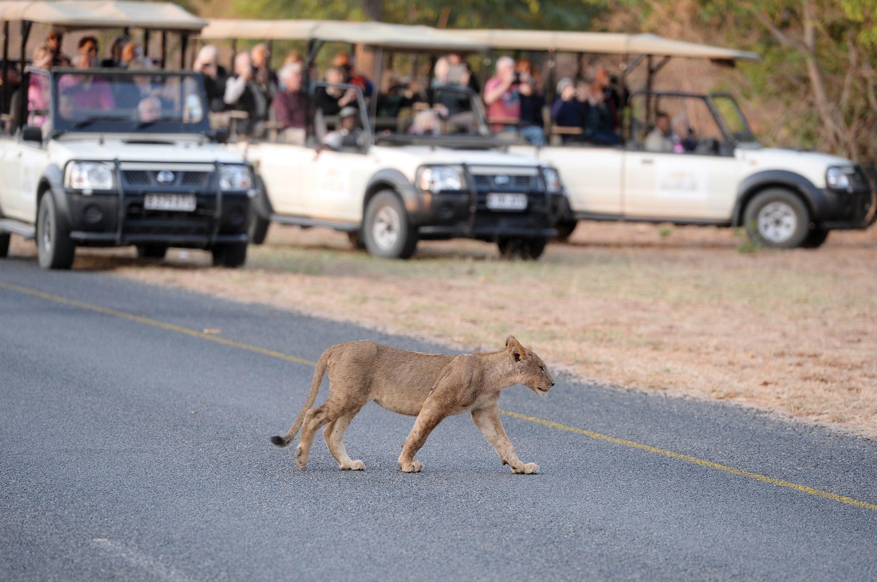 Botswana economically