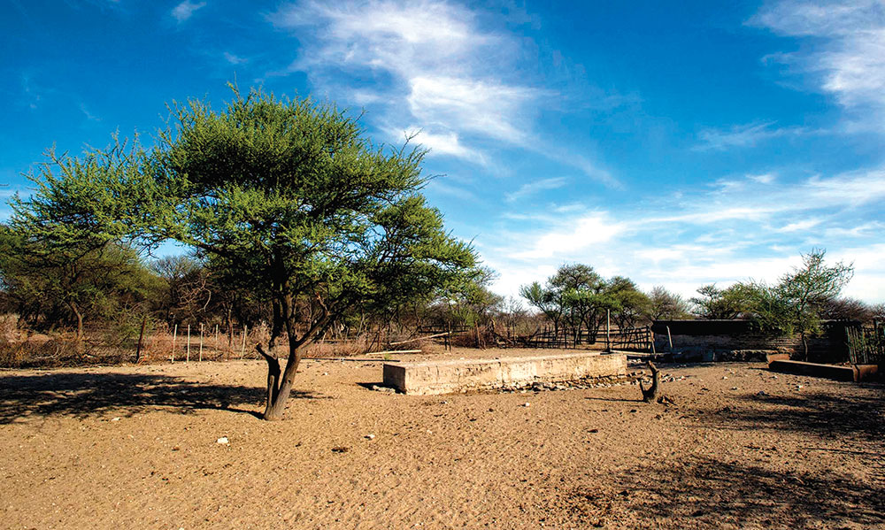 A shift to climate smart agricalture