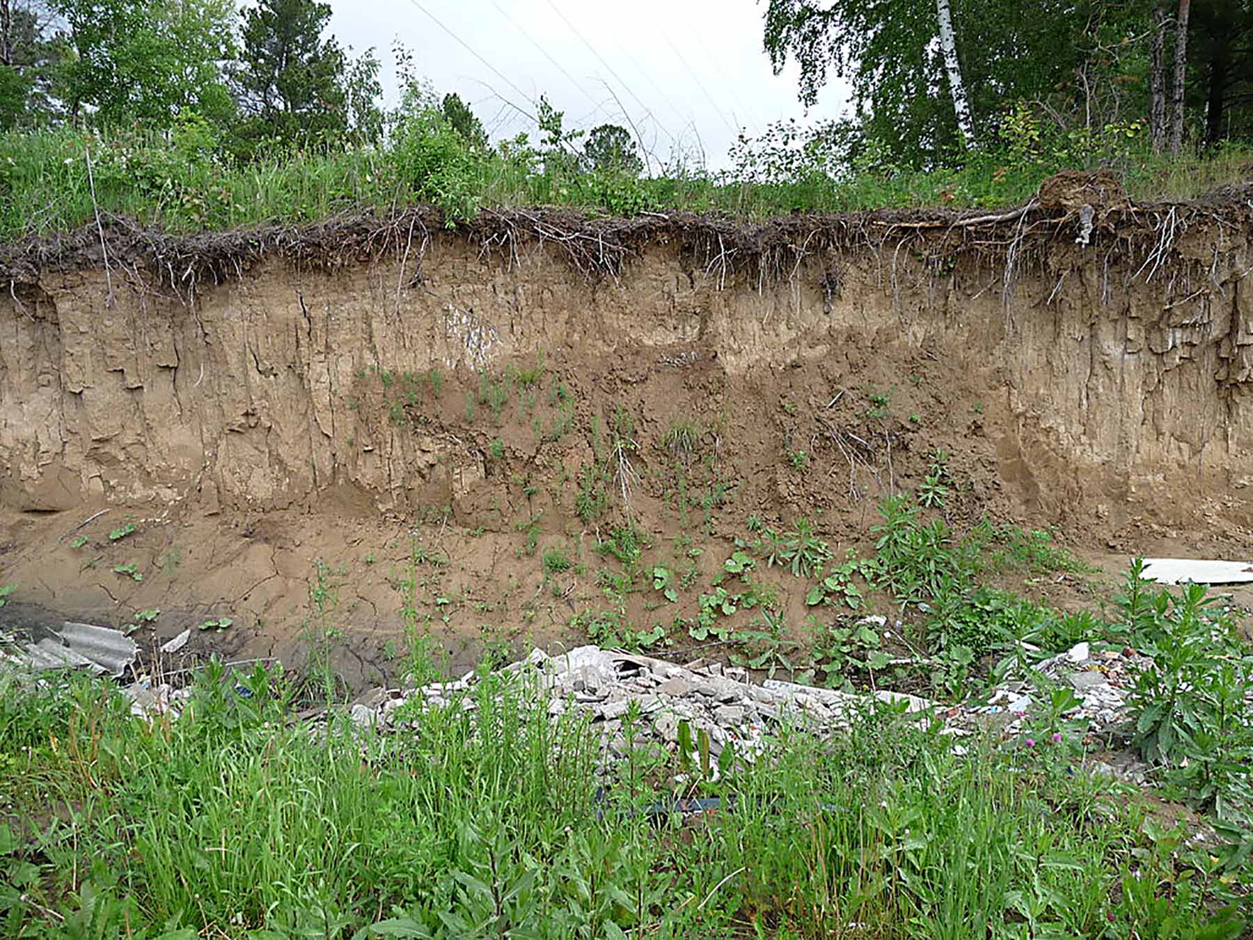 ENVIRONMENTAL DEGRADATION