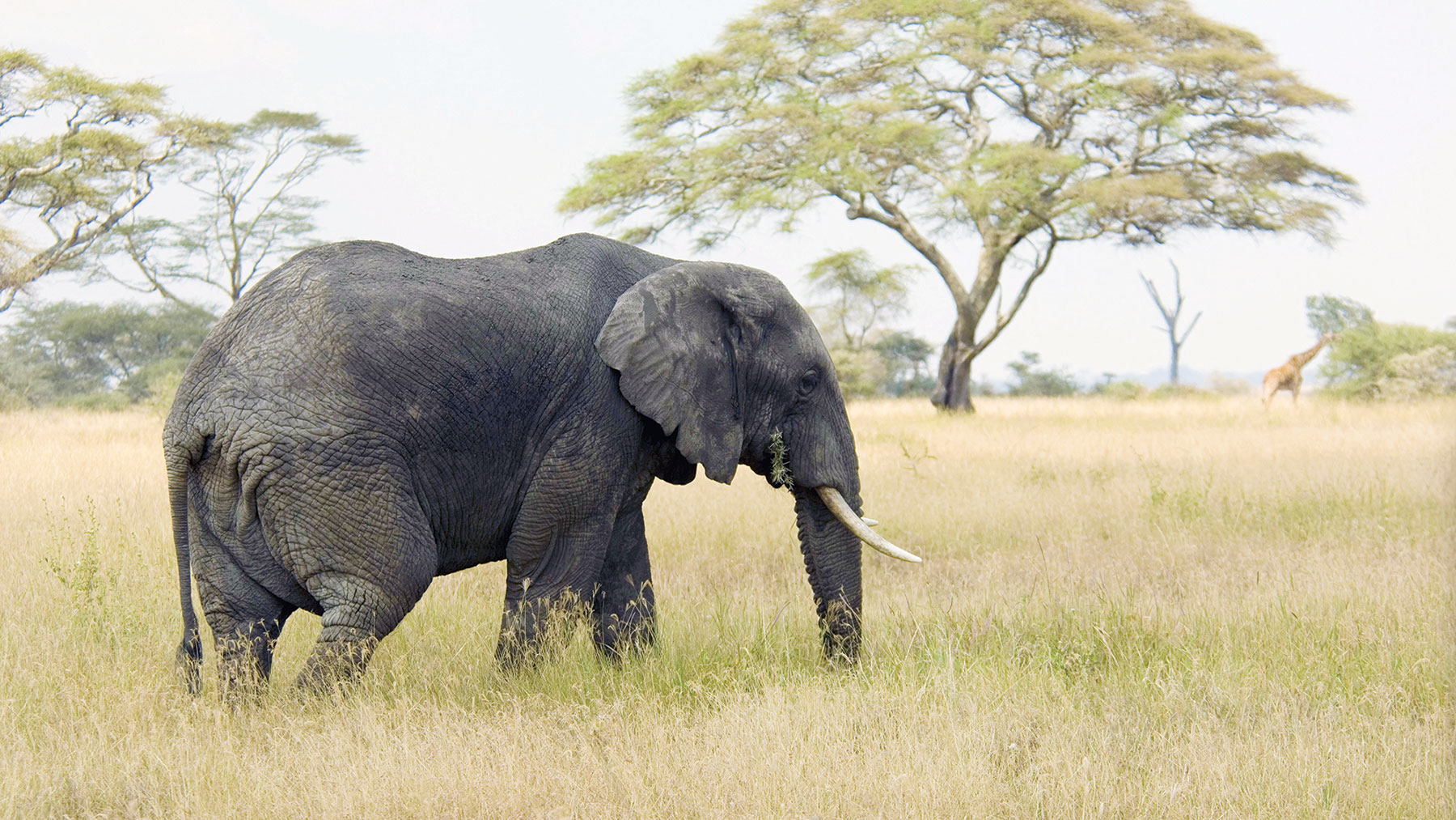 Okavango farmers