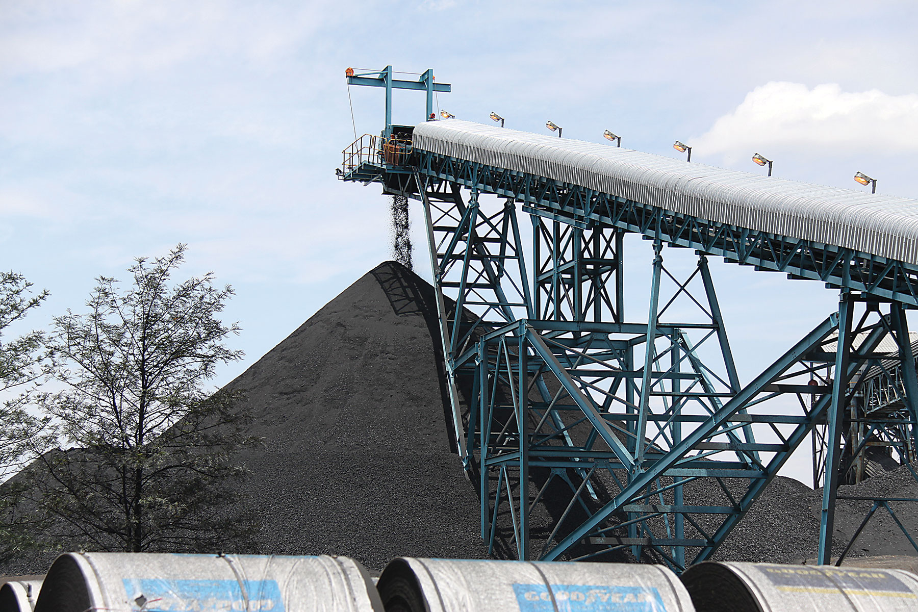 COAL
