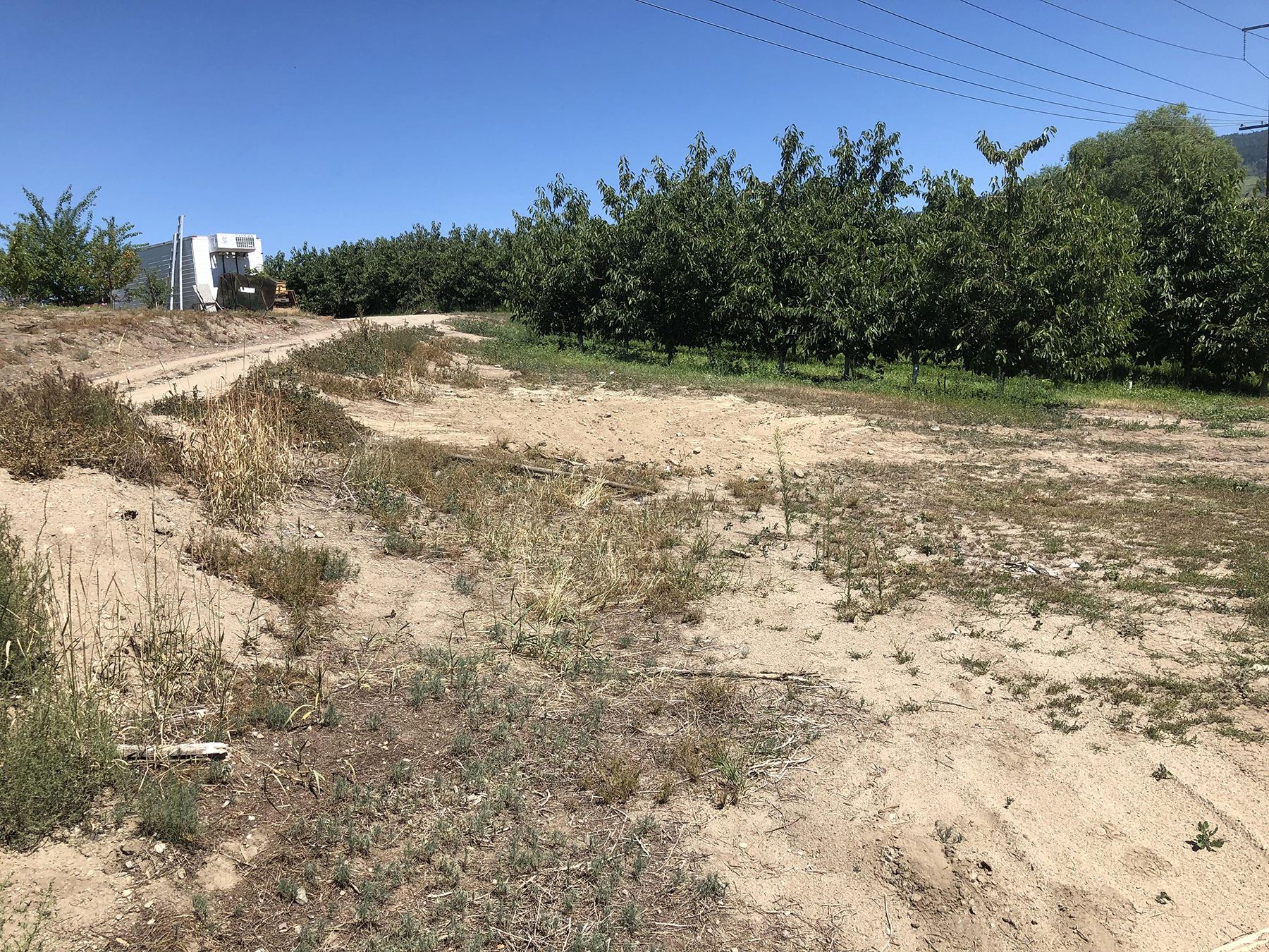 Unserviced Land