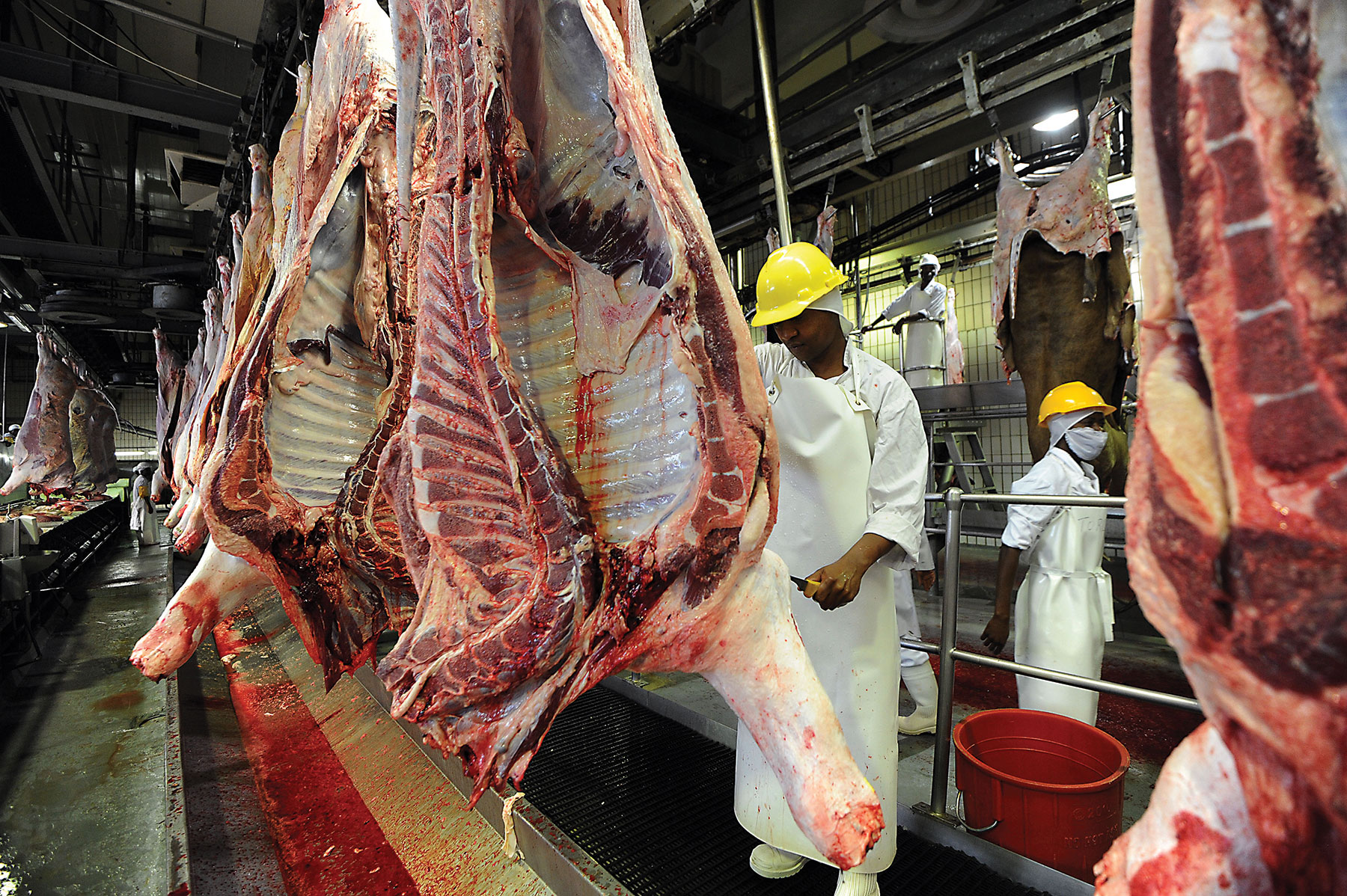 BOTSWANA BEEF