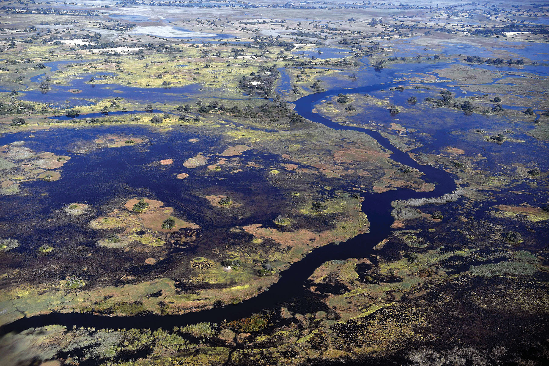 Indepth OKAVANGO DELTA