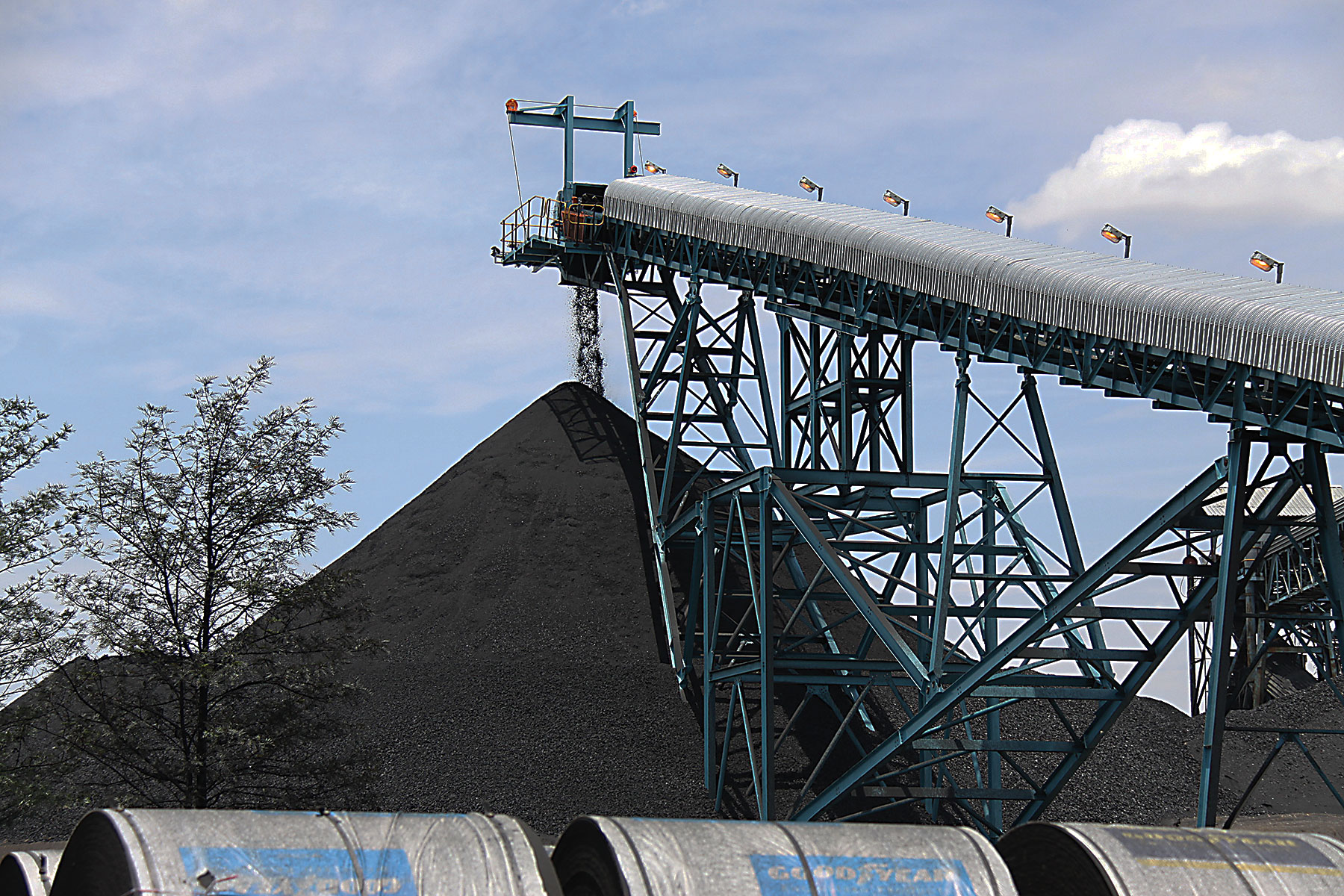 COAL