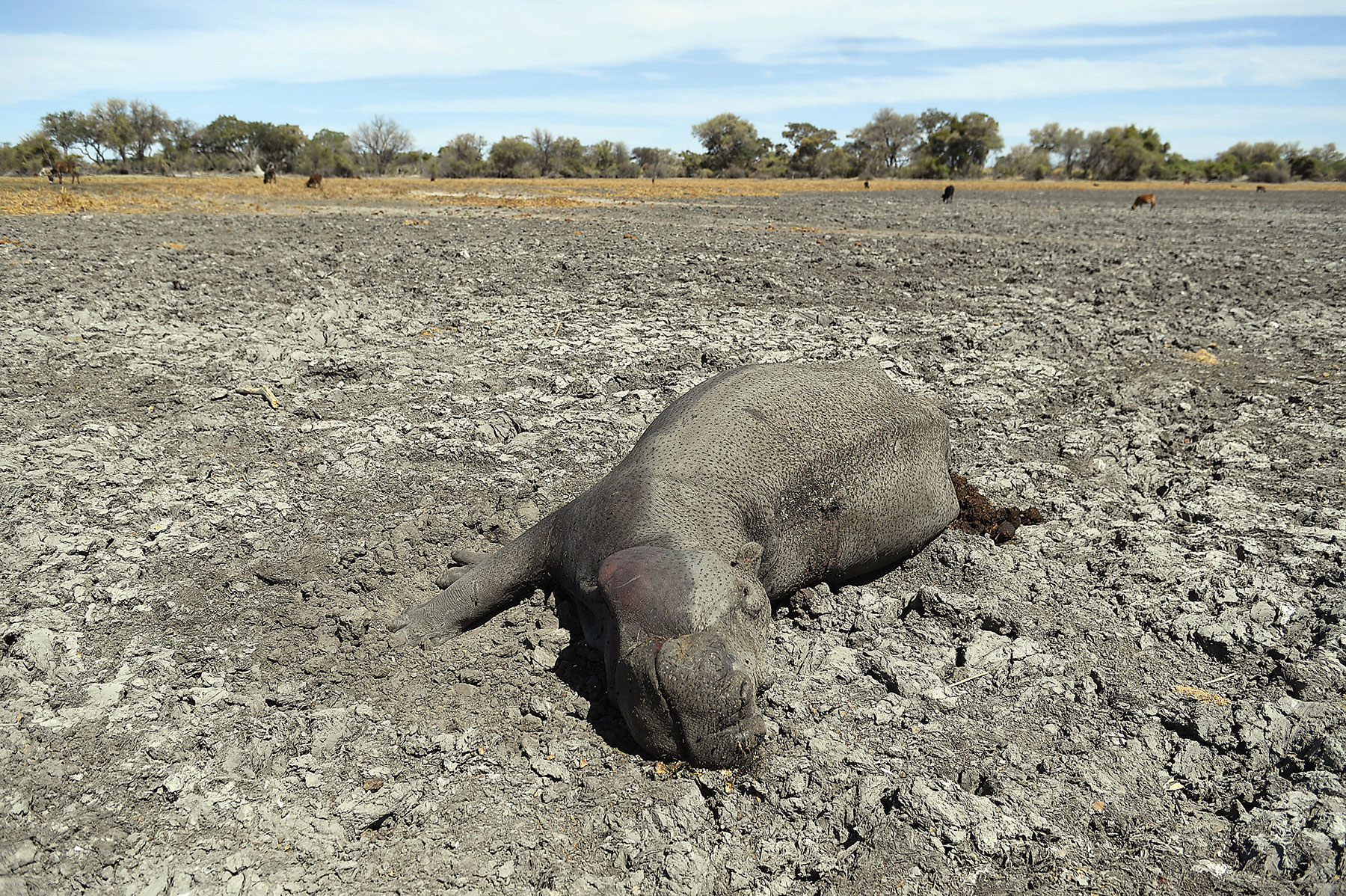 Climate change