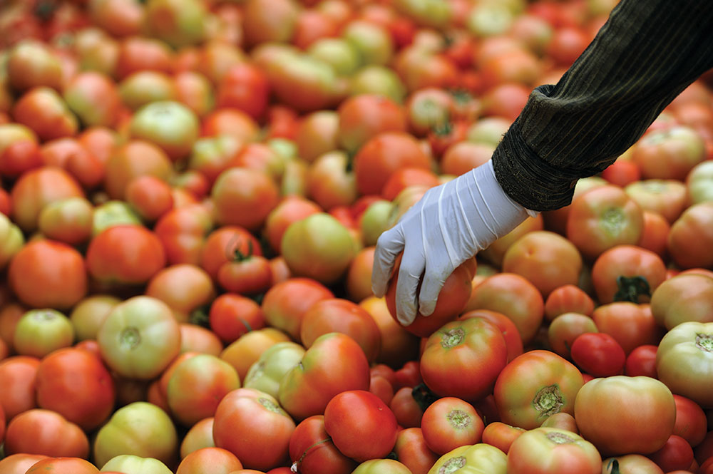 Traders blame vegetable price