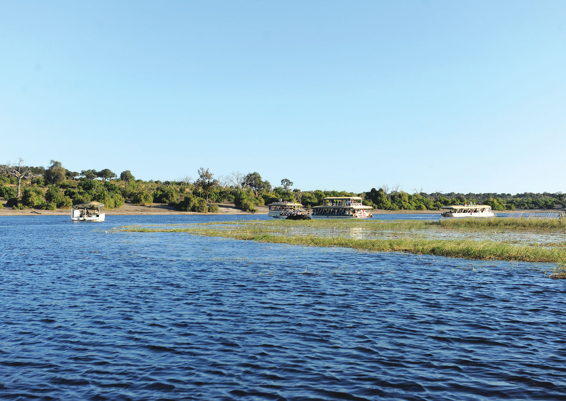Chobe River