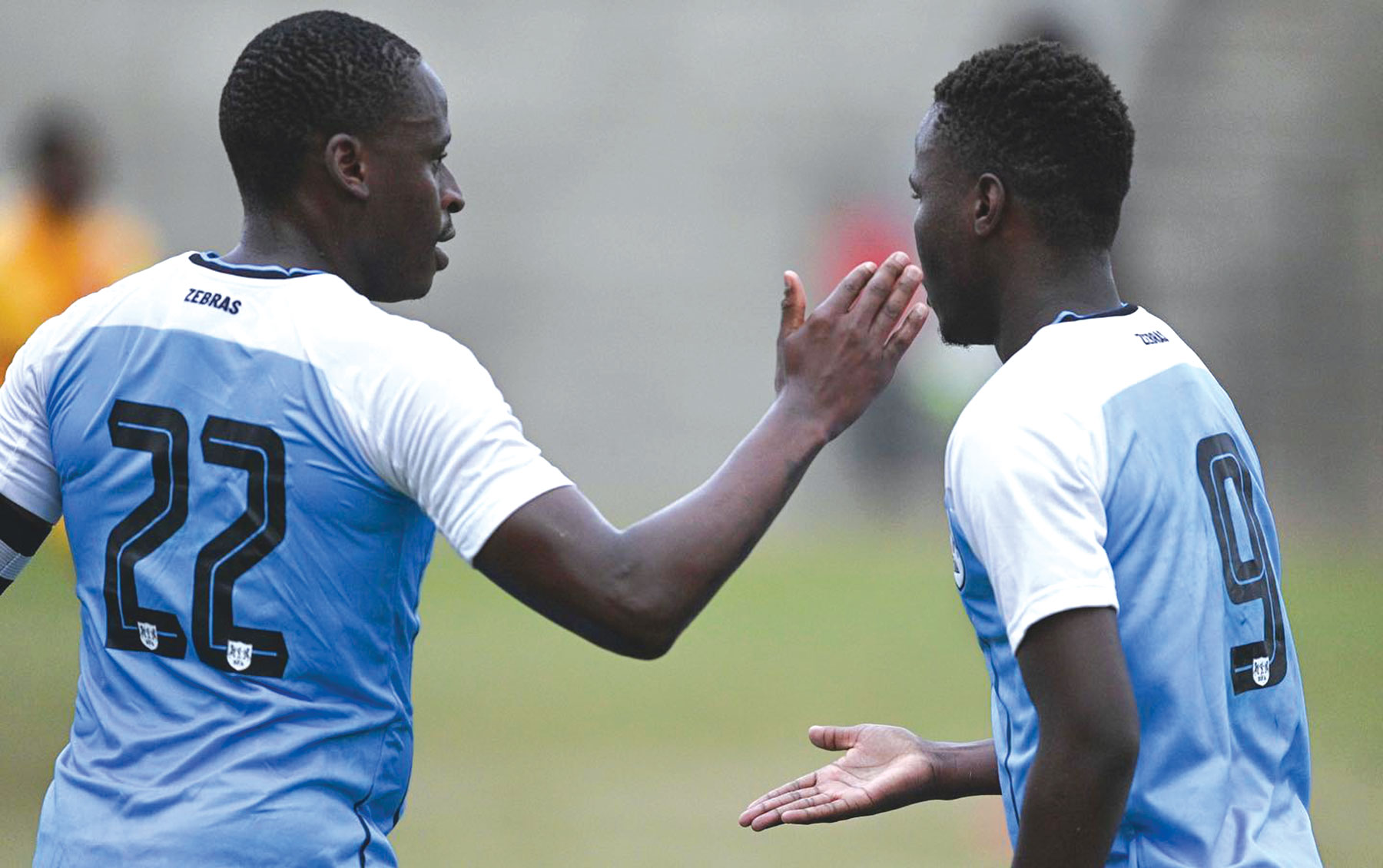 Zebras YOUTH