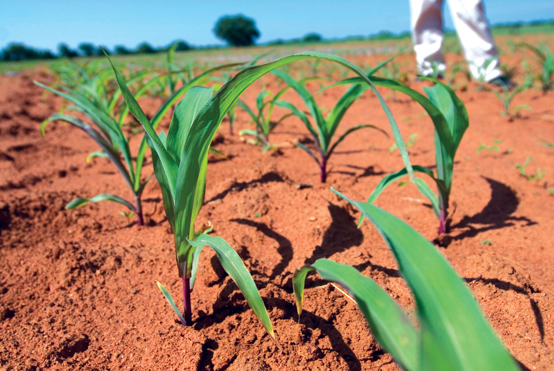 food systems