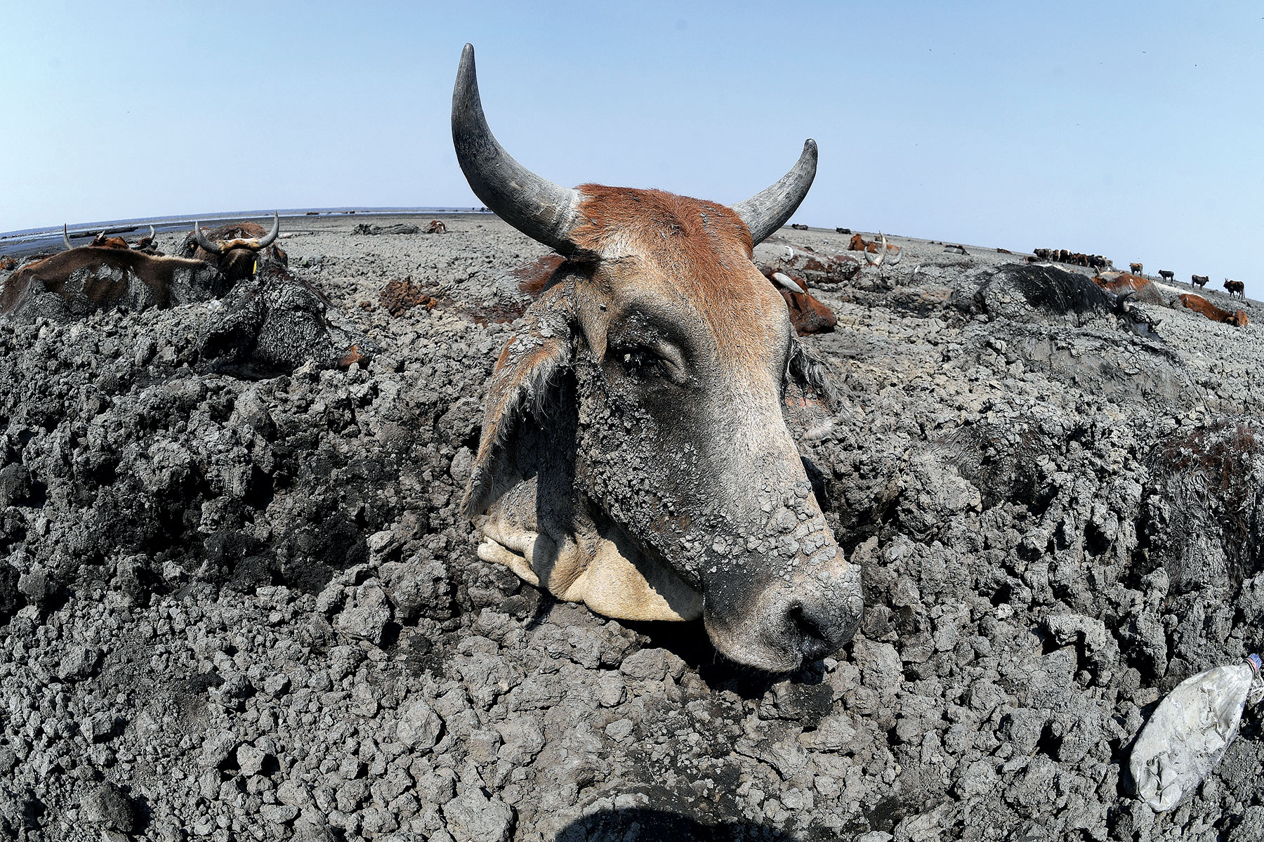 EUs climate hypocrisy