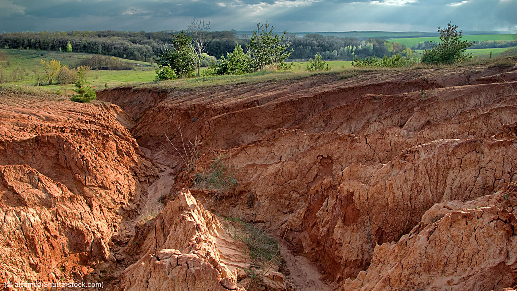 soil degradation