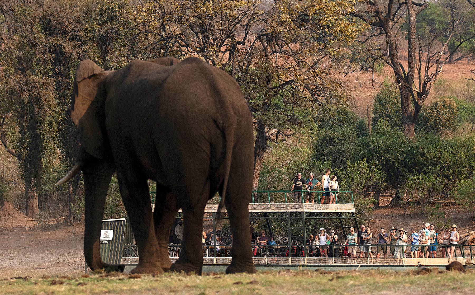 Chobe Holdings anticipates higher profits - Vimarsana News