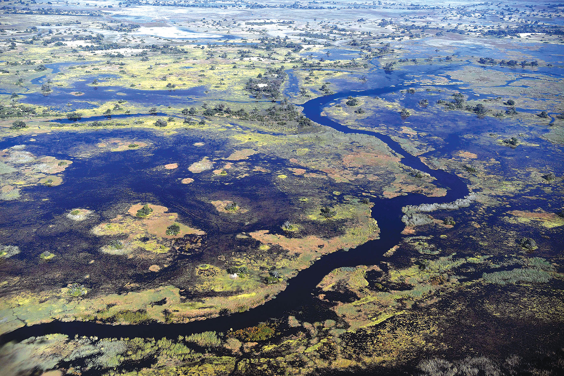 Okavango Oil exploration: ReconAfrica says no ground work yet - Vimarsana News
