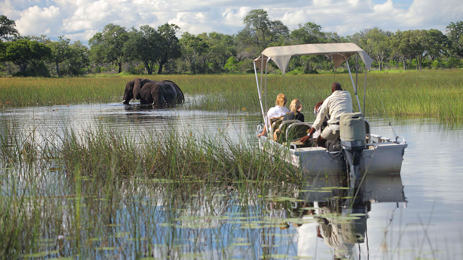 Looking for water based safari? Camp Okavango could be your plug - Vimarsana News