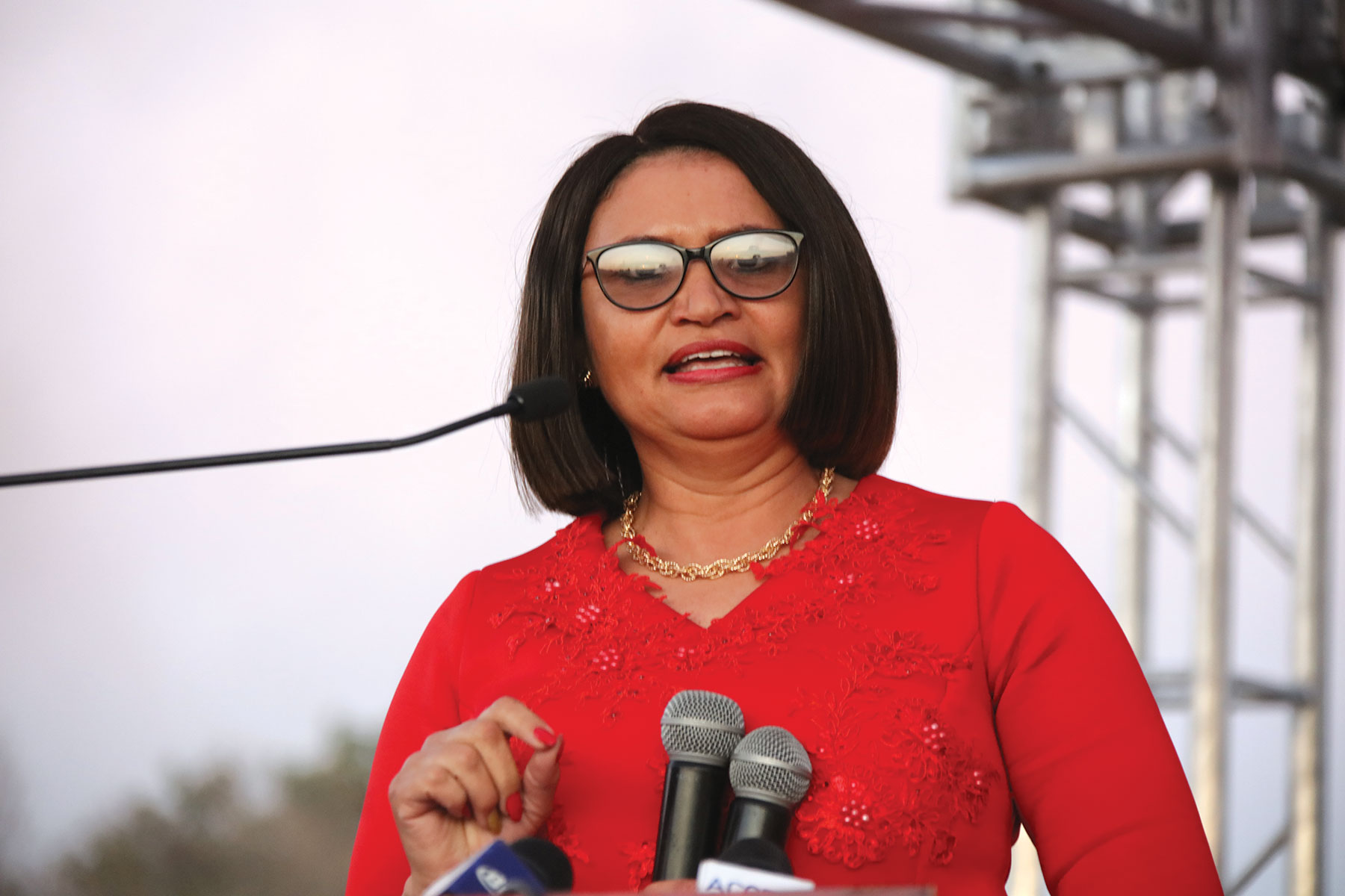 Minister Mokgethi's estate woes far from over - Vimarsana News