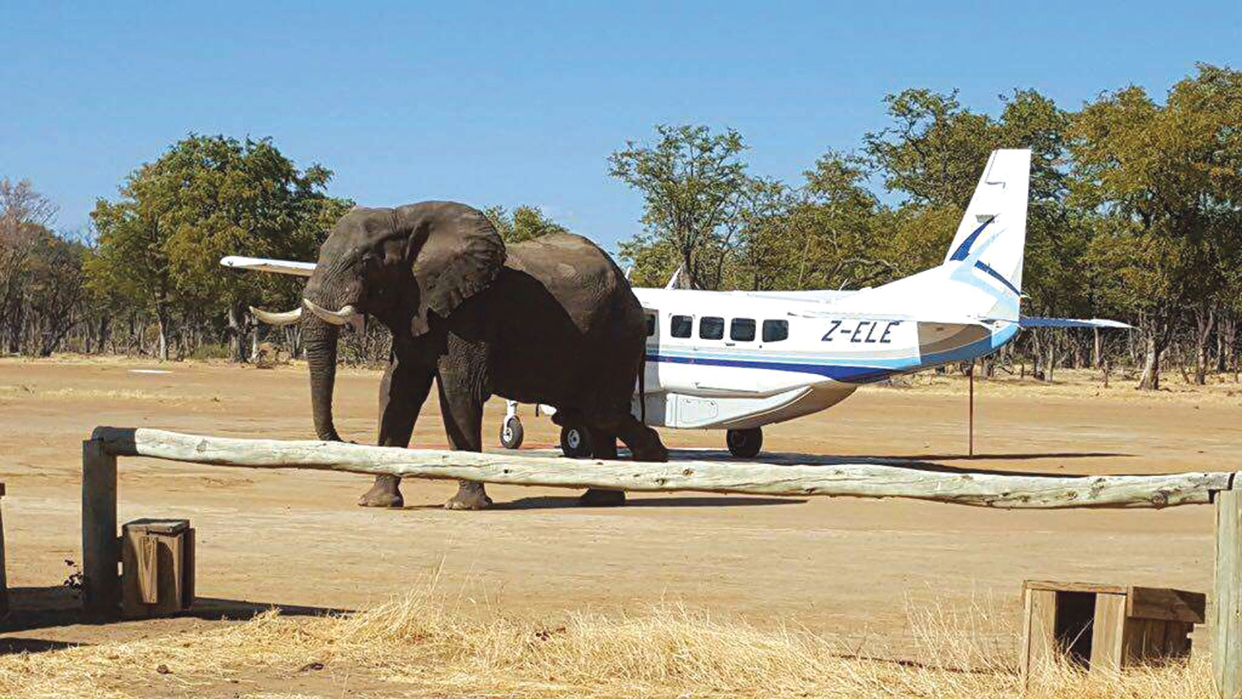 Safari Air names young Motswana pilot as its operations director - Vimarsana News