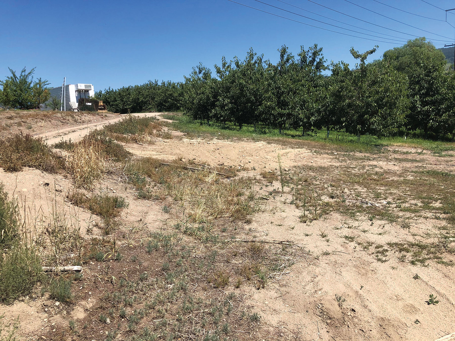 Backlash over new land fees: Batswana react to Government's policy shift - Vimarsana News