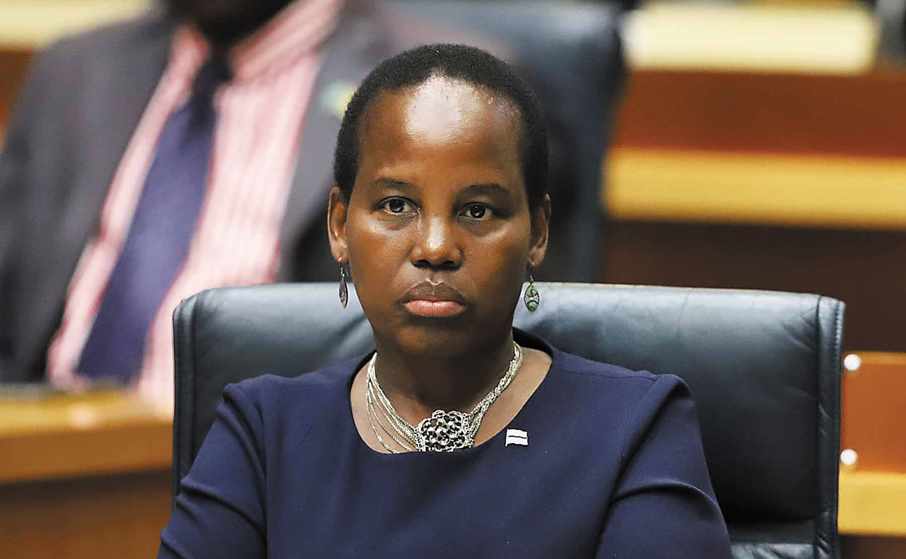 BDP still faces a Dow problem with councillors, land board members - Vimarsana News