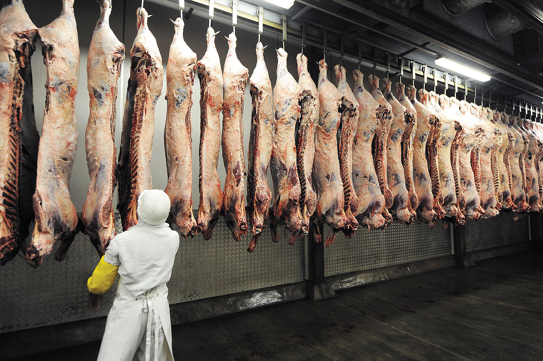 Botswana Beef