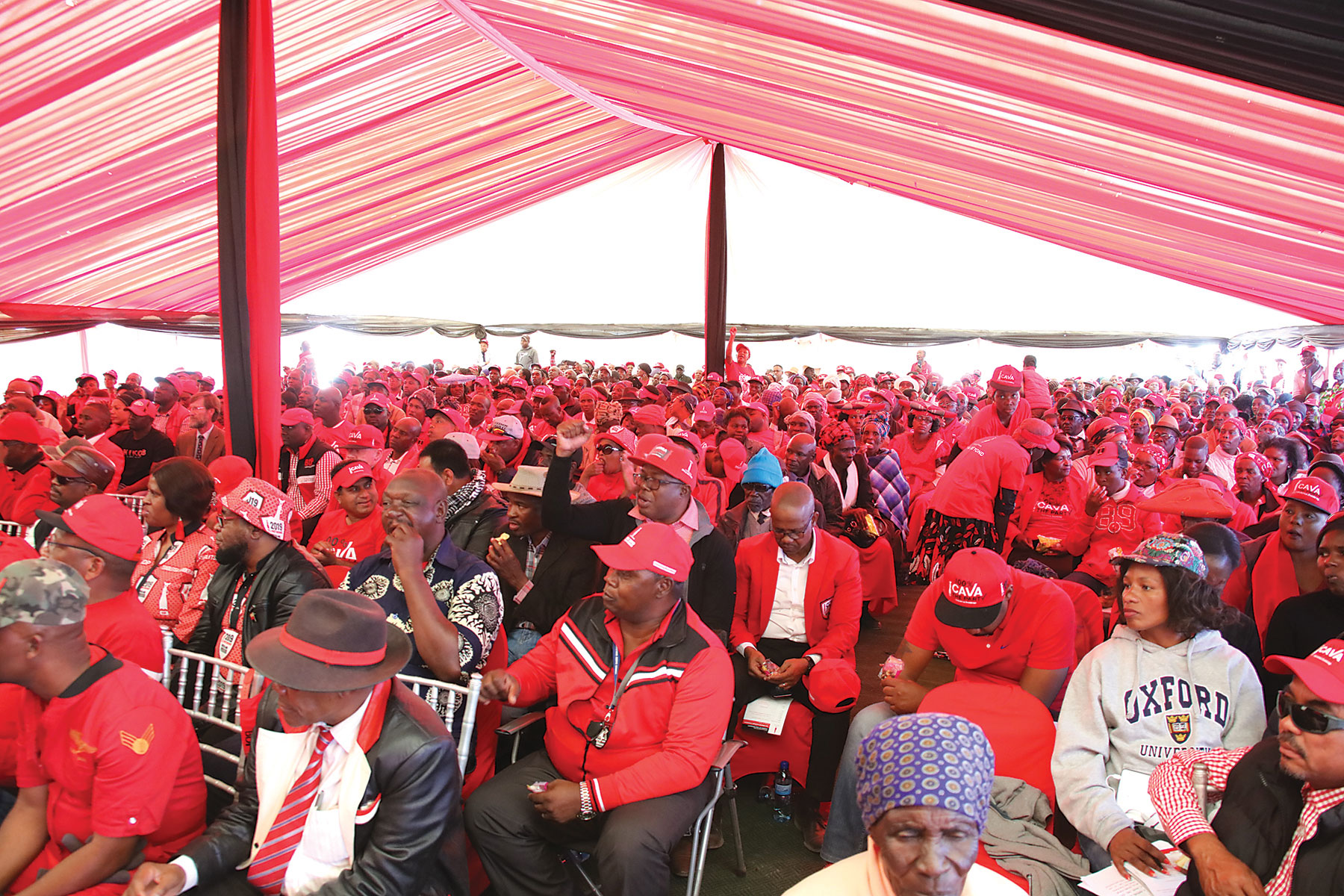 Survey suggests BDP