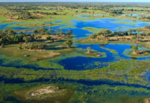 Inside Botswana’s $116 Billion natural capital