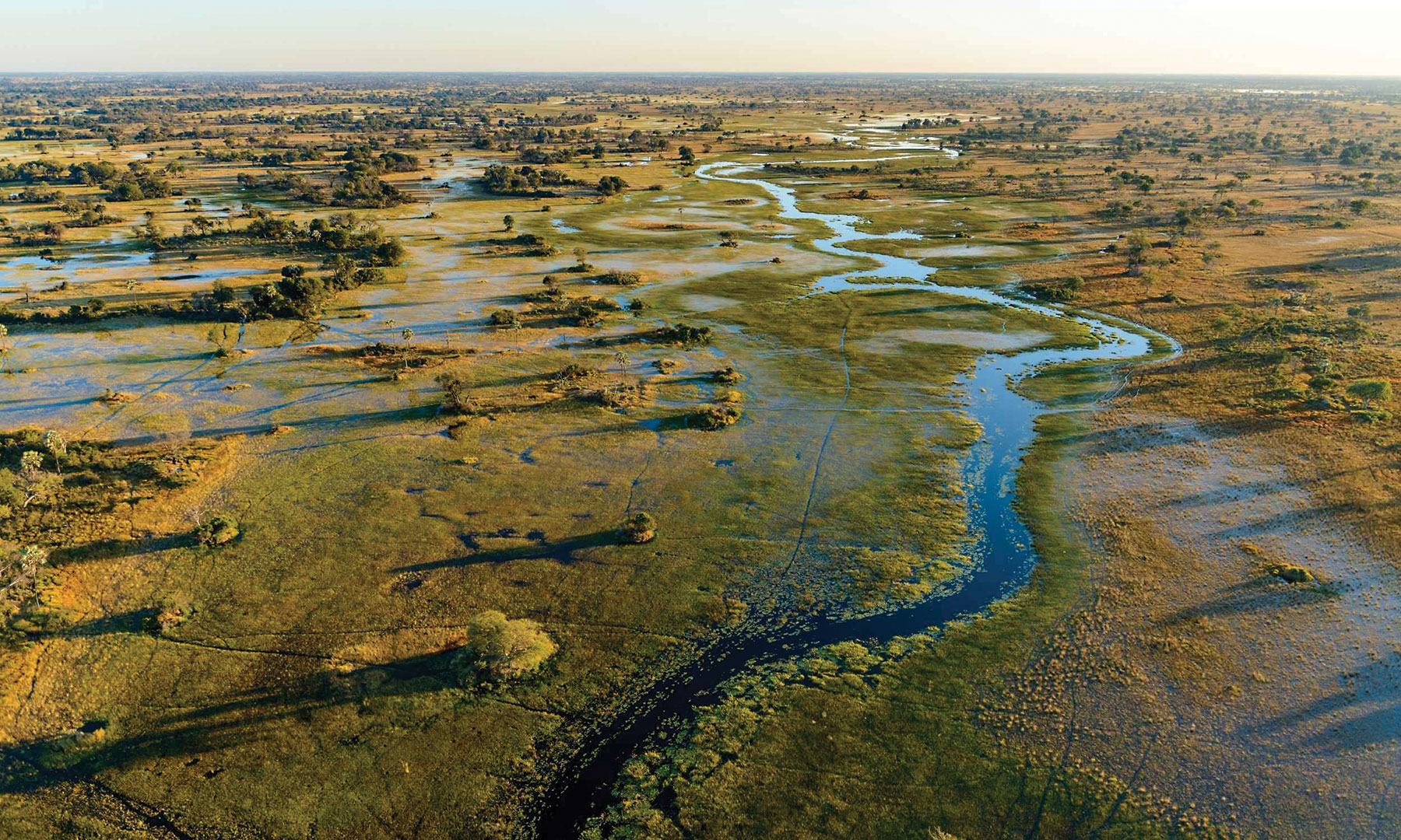The Okavango Delta