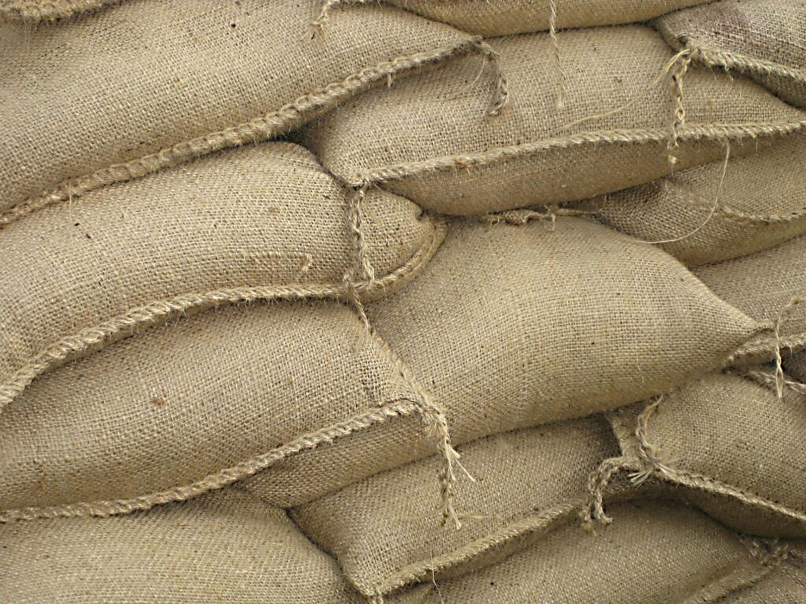 grain