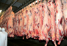 FMD crisis: South Africa opens door to Botswana Beef