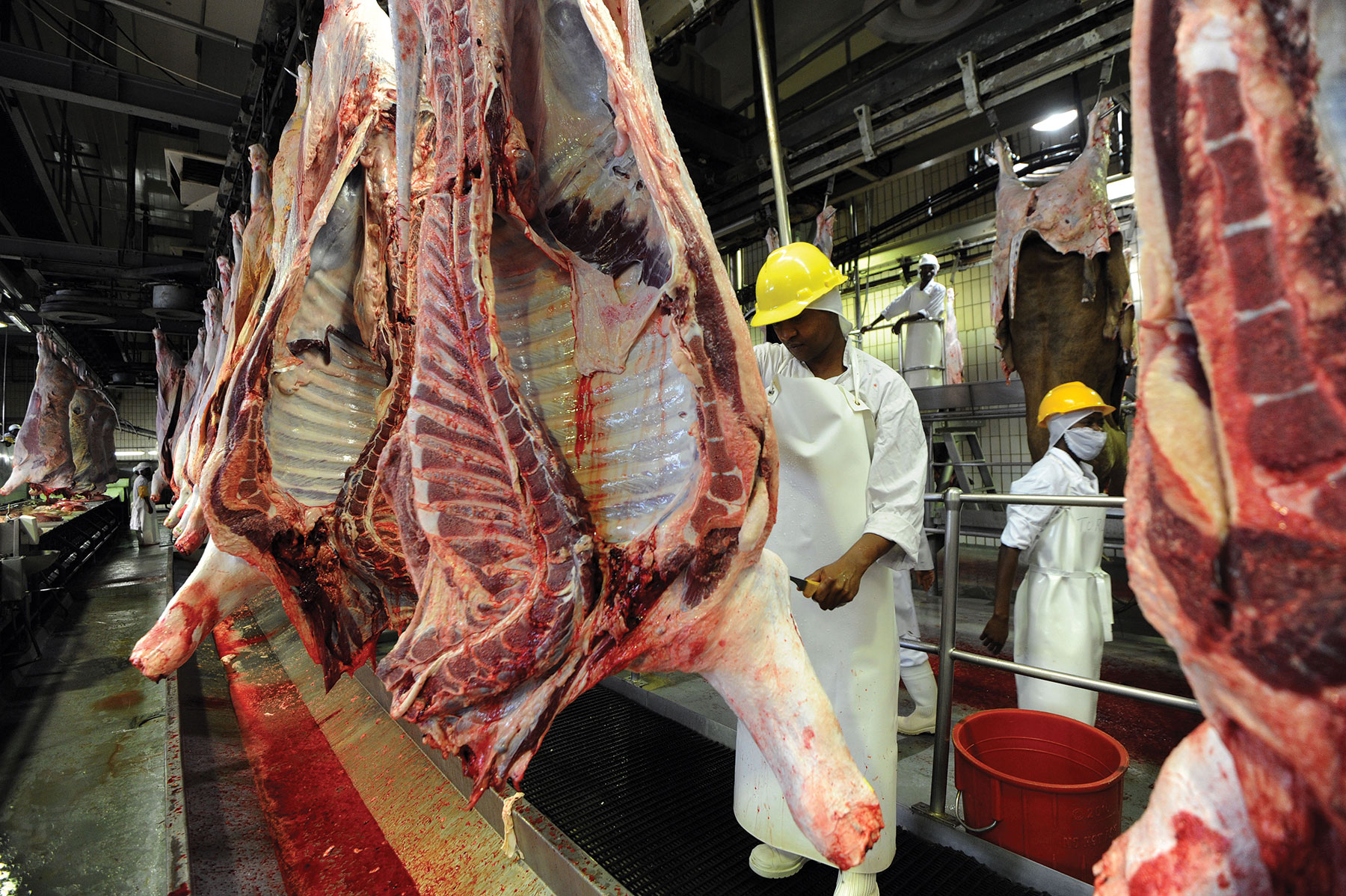 Beef crisis tests Southern Africa’s livestock supply chain